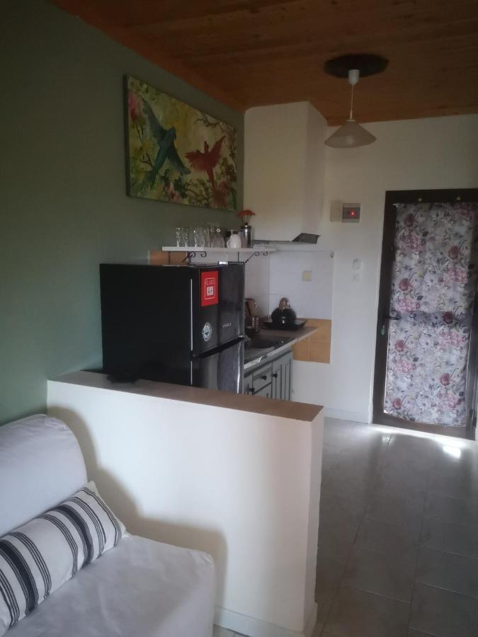 Achillion B&B Paralía Skotínis Kültér fotó