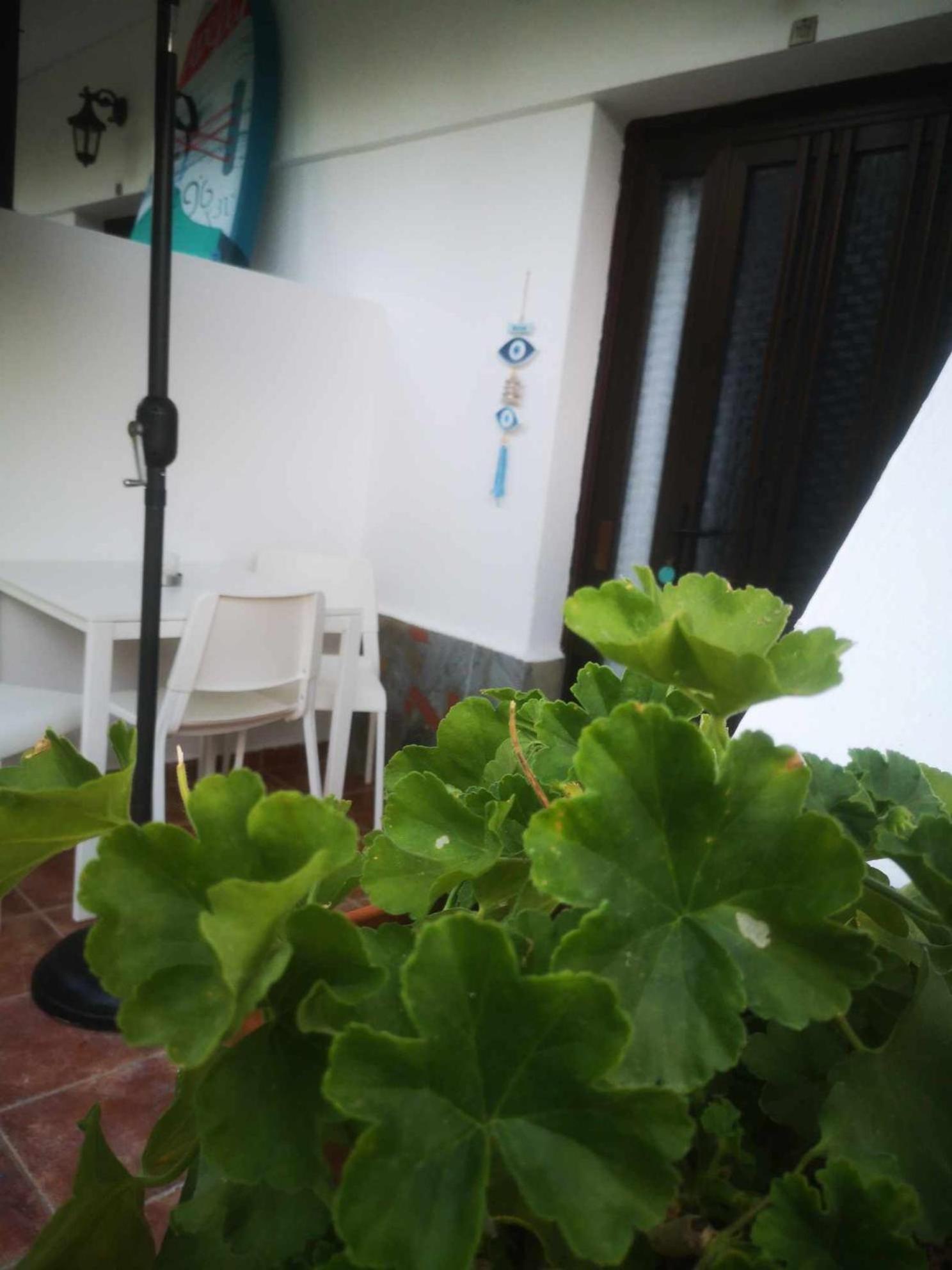 Achillion B&B Paralía Skotínis Kültér fotó